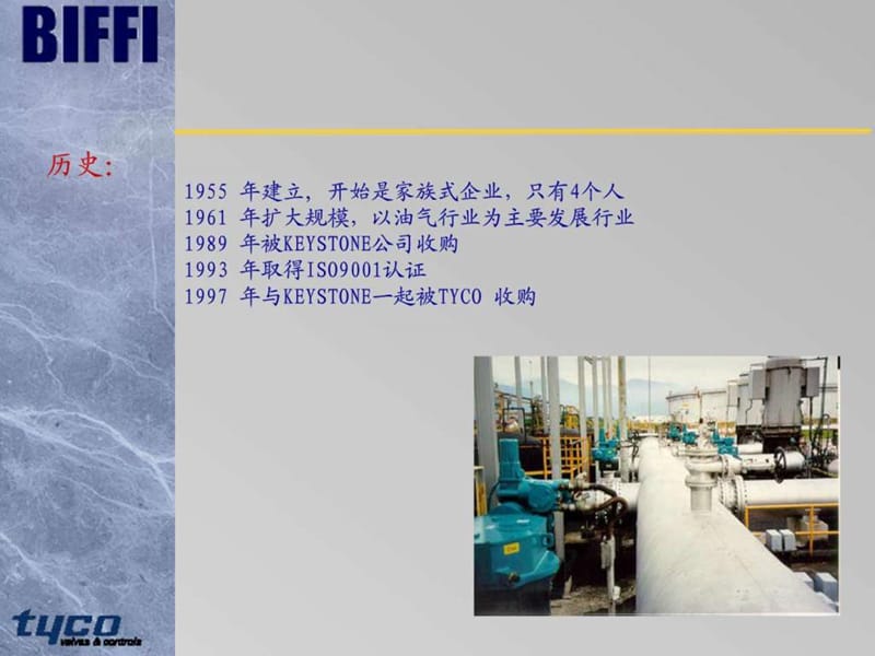 Biffi_液动执行机构.ppt_第2页