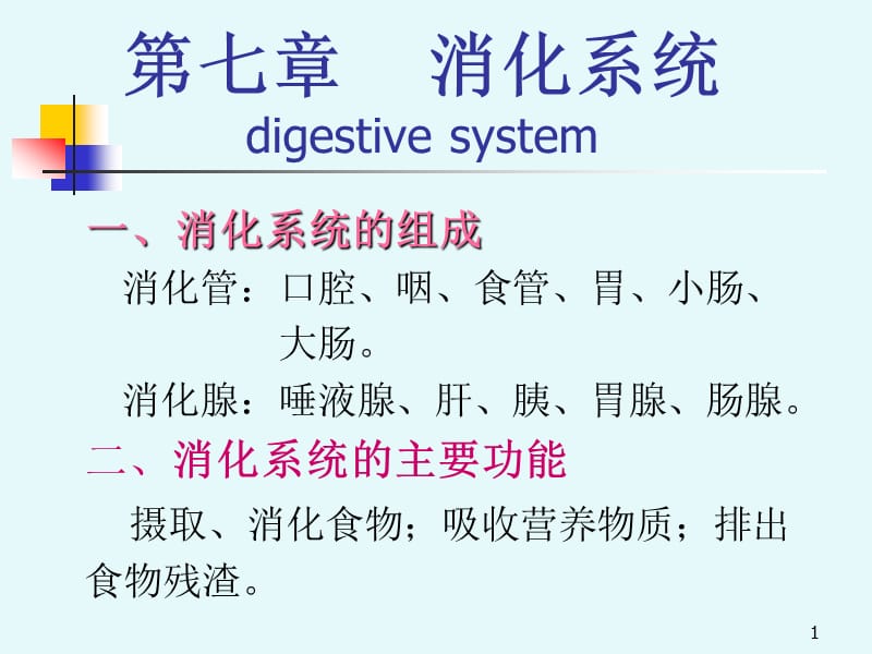 消化系统--digestivesystemPPT课件.ppt_第1页