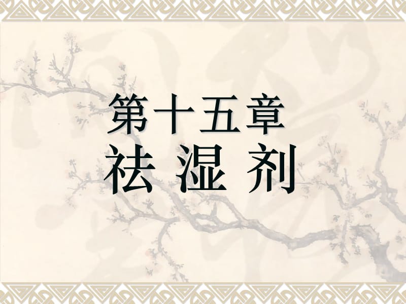 祛湿剂.ppt_第1页