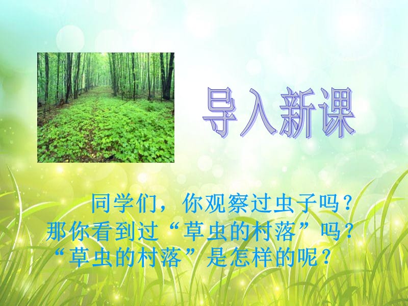 湘教版语文六下[草虫的村落]ppt课件.ppt_第2页