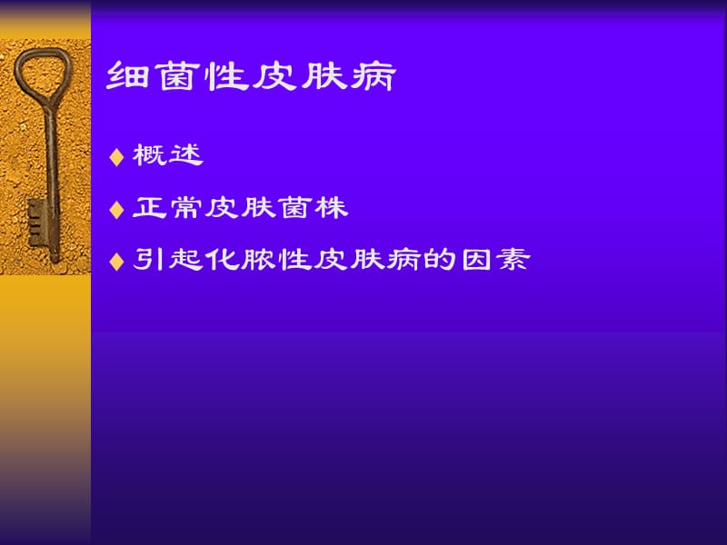 细菌性皮肤病.ppt_第2页