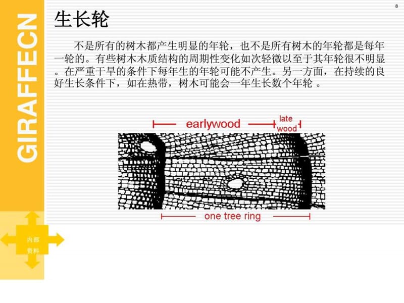 2019木材的基本知识.ppt.ppt_第3页