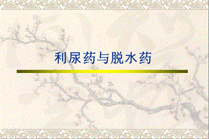 2019药理学-李庆平-8利尿脱水药.ppt