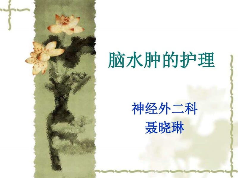 2019脑水肿的护理_图文.ppt.ppt_第1页