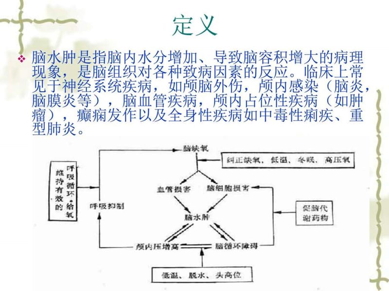 2019脑水肿的护理_图文.ppt.ppt_第3页