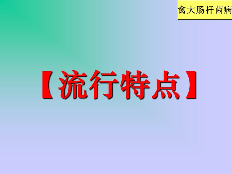 禽病学禽病临床诊断彩色图谱25禽大肠杆菌病西南民族大学.ppt_第3页