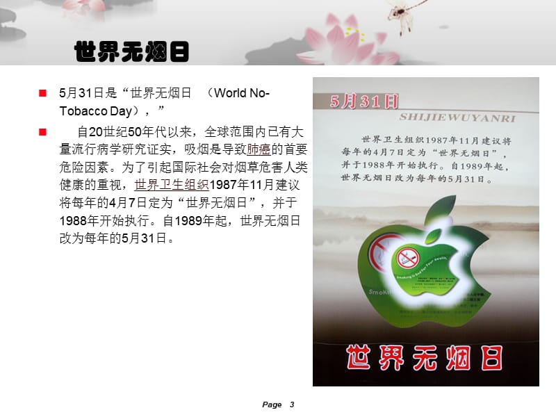 《远离烟草拥抱健康》PPT课件.ppt_第3页