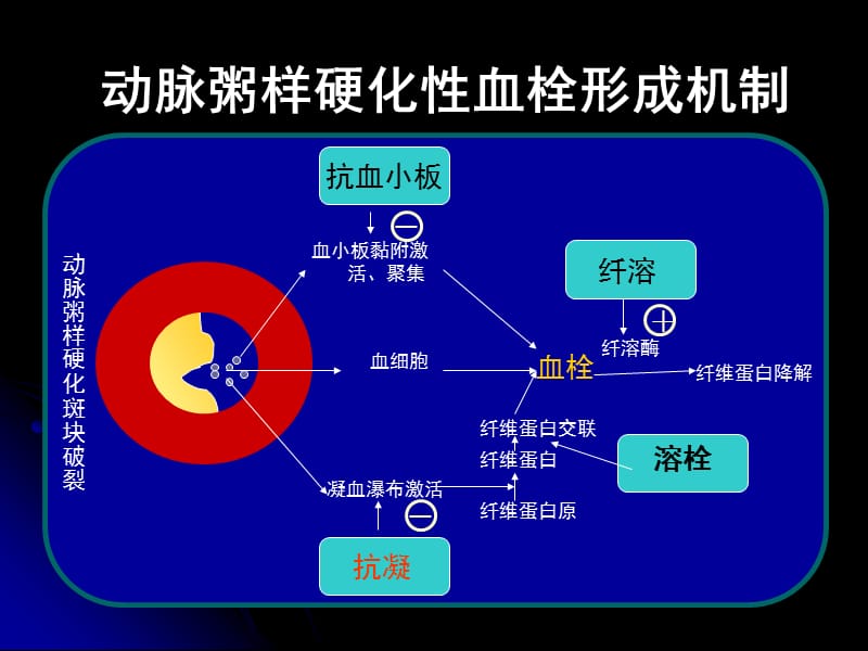 2019脑梗死抗凝治疗解读.ppt_第3页