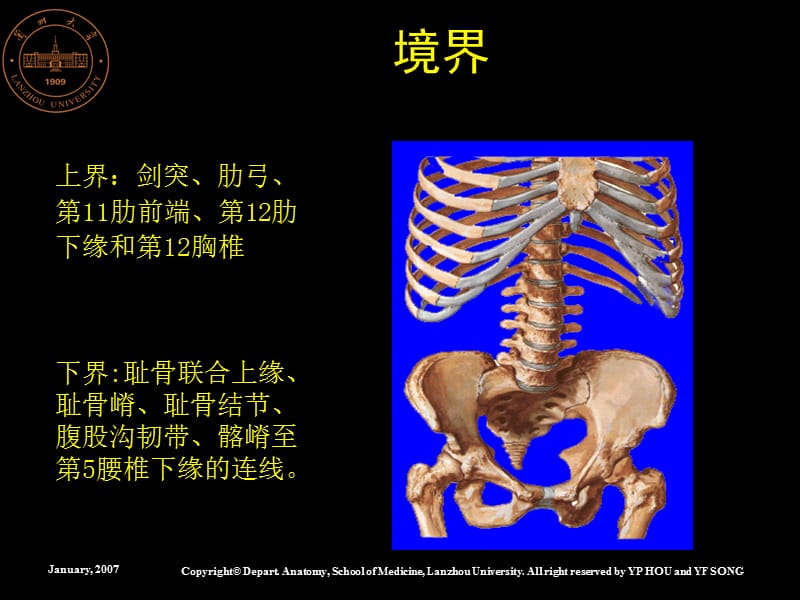 2019腹部概述腹前外侧壁解剖 ppt课件.ppt_第3页