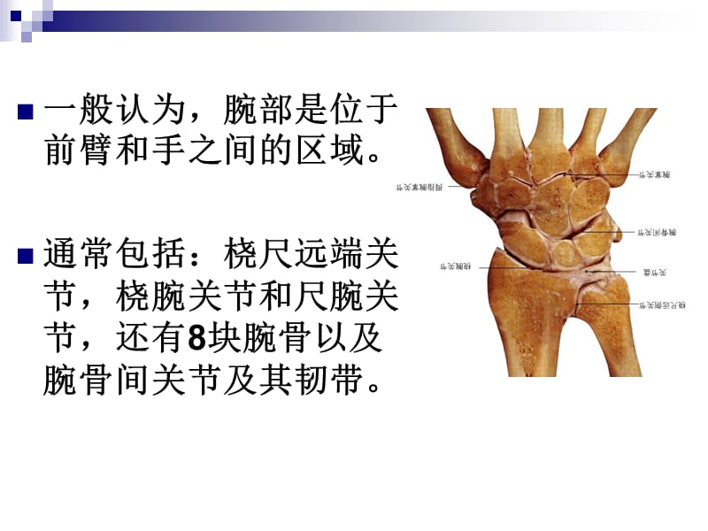 《腕尺侧痛》ppt课件.ppt_第2页