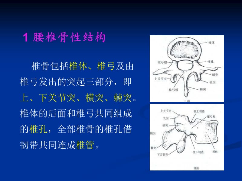 2019腰椎结核的CT诊断与鉴别.ppt_第3页