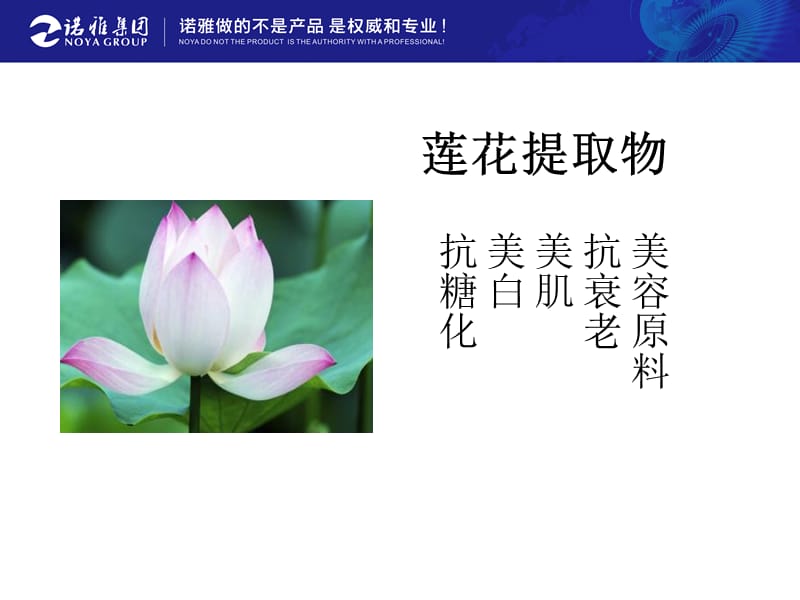 《莲花》ppt课件.ppt_第2页