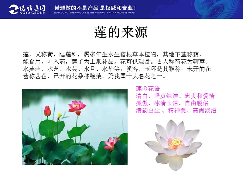 《莲花》ppt课件.ppt_第3页