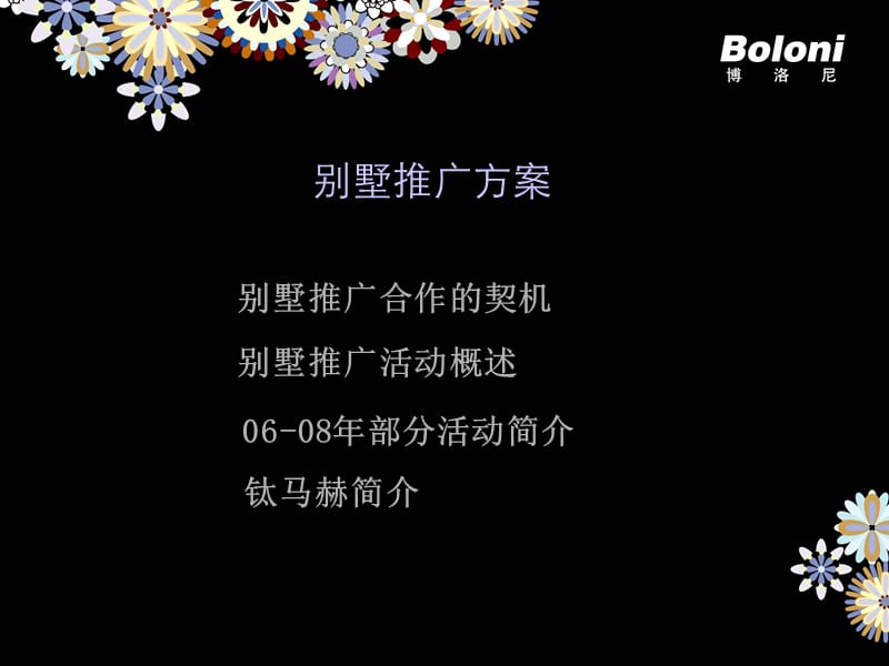 【广告策划-PPT】Boloni别墅推广方案.ppt_第2页