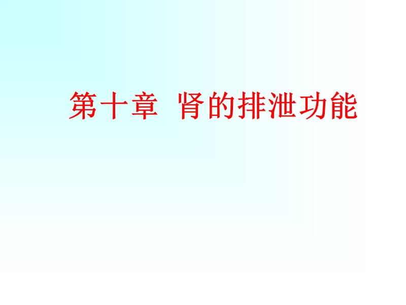 《肾的排泄》ppt课件.ppt_第1页