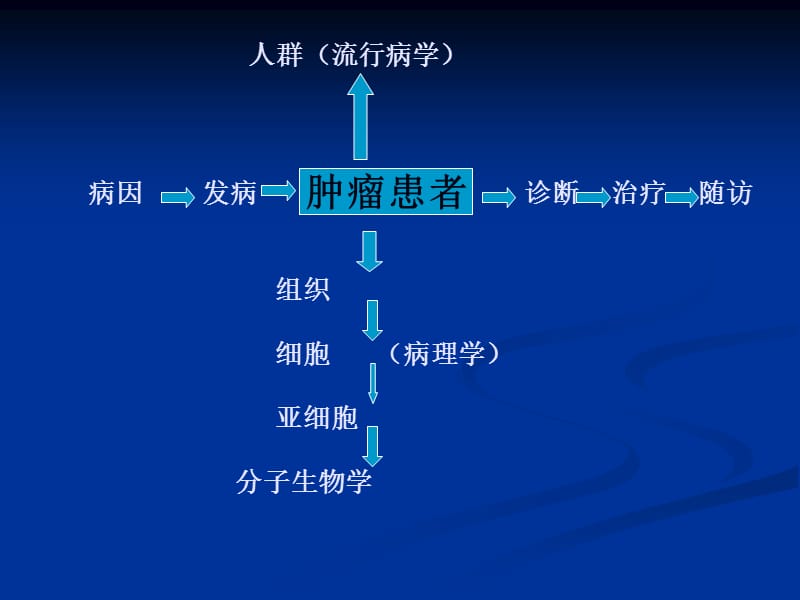 2019年大肠癌的治疗进展.ppt_第3页