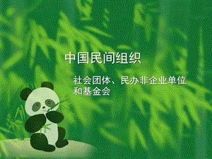 2019民间组织机构图_社会学_人文社科_专业资料.ppt.ppt