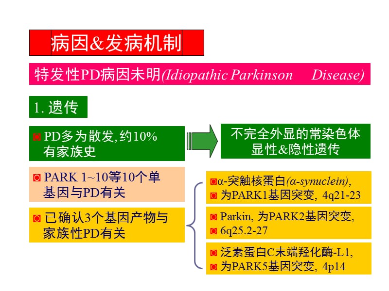 2019运动障碍性疾病D.ppt_第2页