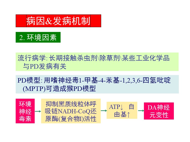 2019运动障碍性疾病D.ppt_第3页