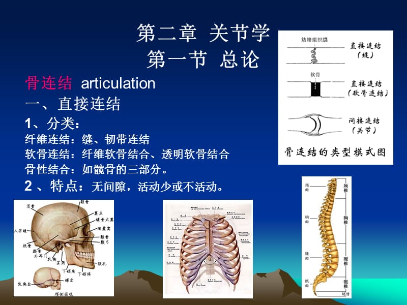 《骨连结》ppt课件.ppt_第1页