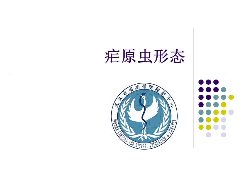 疟原虫形态武汉市疾病预防控制中心吴凯ppt课件.ppt_第1页