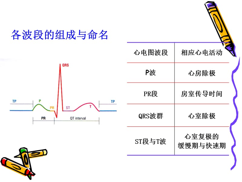 2019诊断学（实验）心电图.ppt_第2页