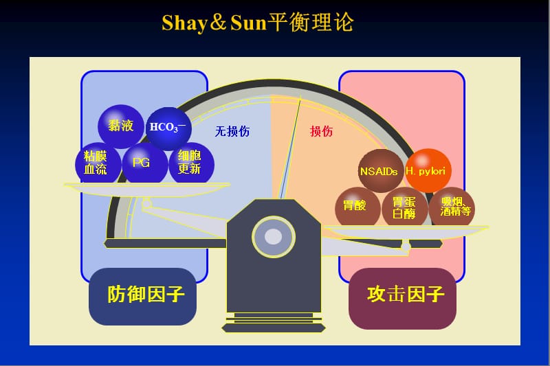 《胃黏膜》ppt课件.ppt_第3页