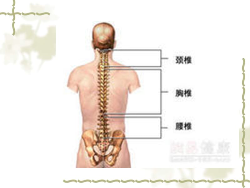 2019腰椎间盘突出症课件.ppt_第3页