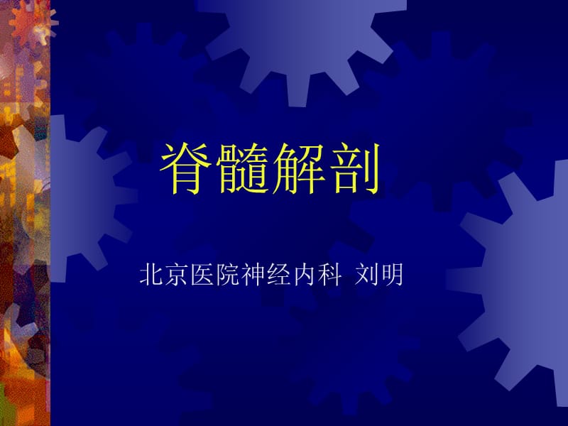 《脊髓解剖》ppt课件.ppt_第1页