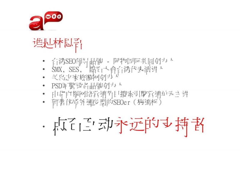 2019林思吾台湾seo公司发展.ppt_第3页