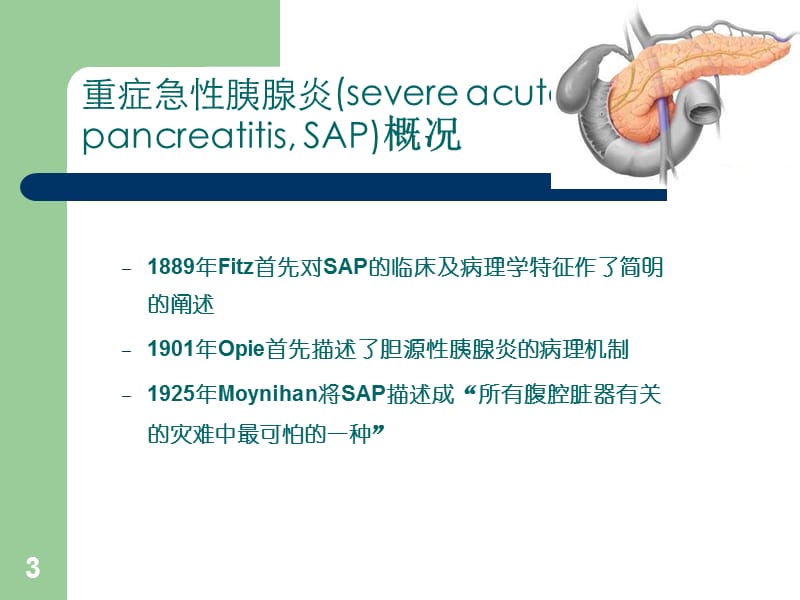 2019重症急性胰腺炎诊疗若干问题.ppt_第3页