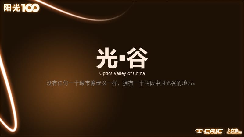 楼盘推广最大影响案例PPT——阳光100.ppt_第2页