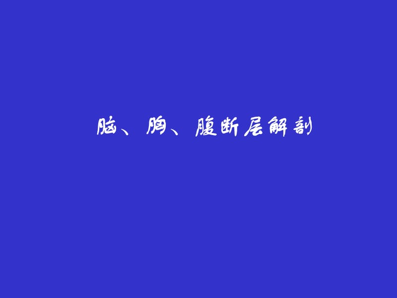 脑胸腹断层解剖PPT课件.ppt_第1页