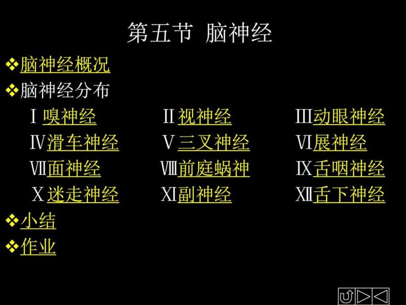 2019脑神经解剖图谱.ppt.ppt_第1页