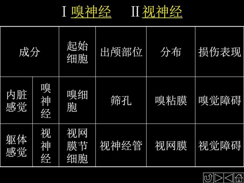 2019脑神经解剖图谱.ppt.ppt_第3页