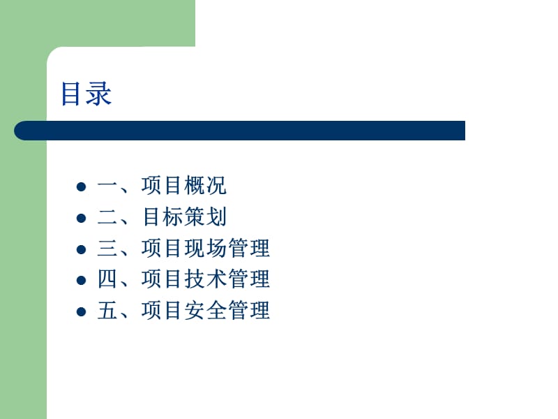 《项目策划终板》ppt课件.ppt_第2页