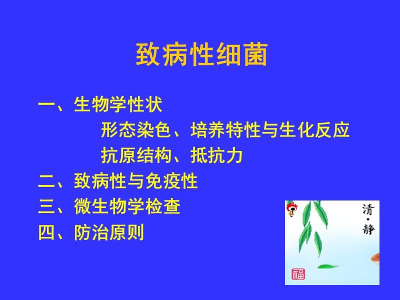 2019致病性细菌.ppt_第1页