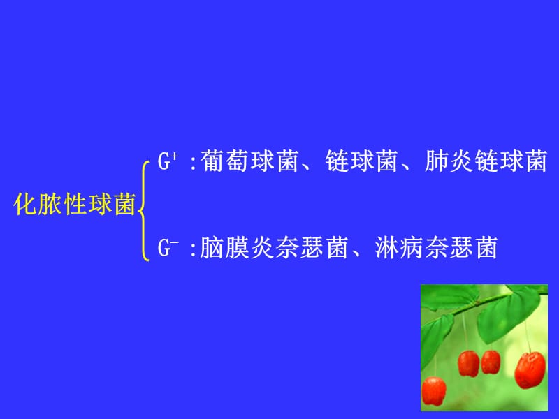 2019致病性细菌.ppt_第2页