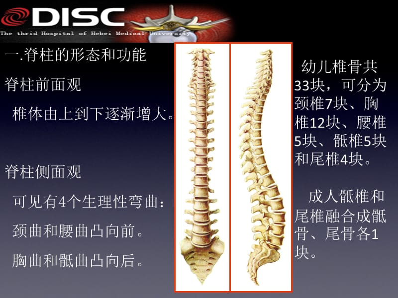 2019脊柱常见疾病与手术 ppt课件.ppt_第3页