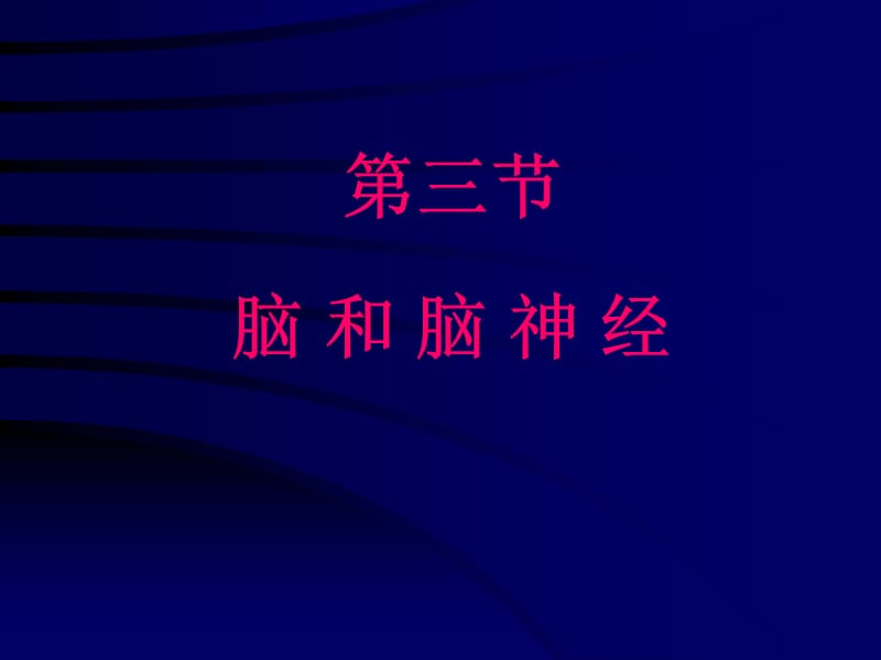 脑和脑神经PPT课件.ppt_第1页