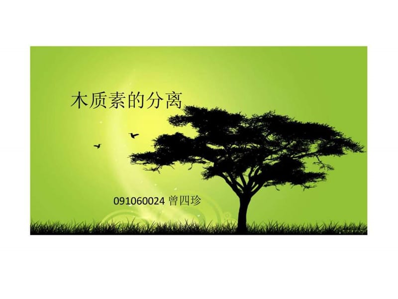 2019木质素的分离.ppt.ppt_第1页