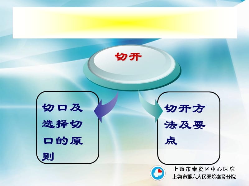 2019腹部切口选择 ppt课件.ppt_第3页