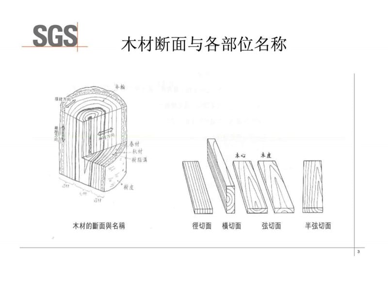 2019木材知识培训教材.ppt.ppt_第3页