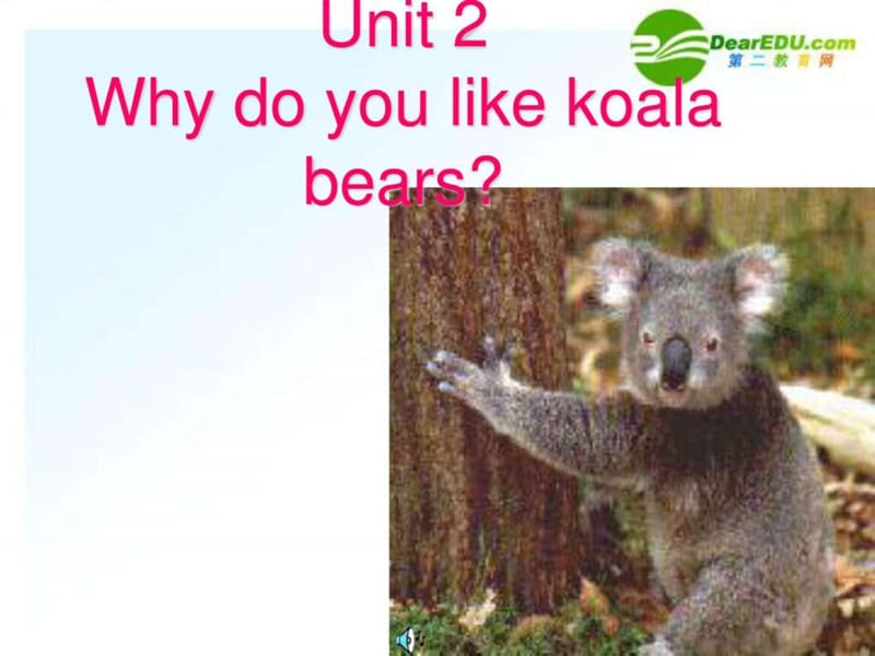 七年级英语下册 why do you like koalas课件 人教新目.ppt_第1页