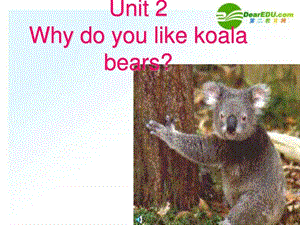 七年级英语下册 why do you like koalas课件 人教新目.ppt