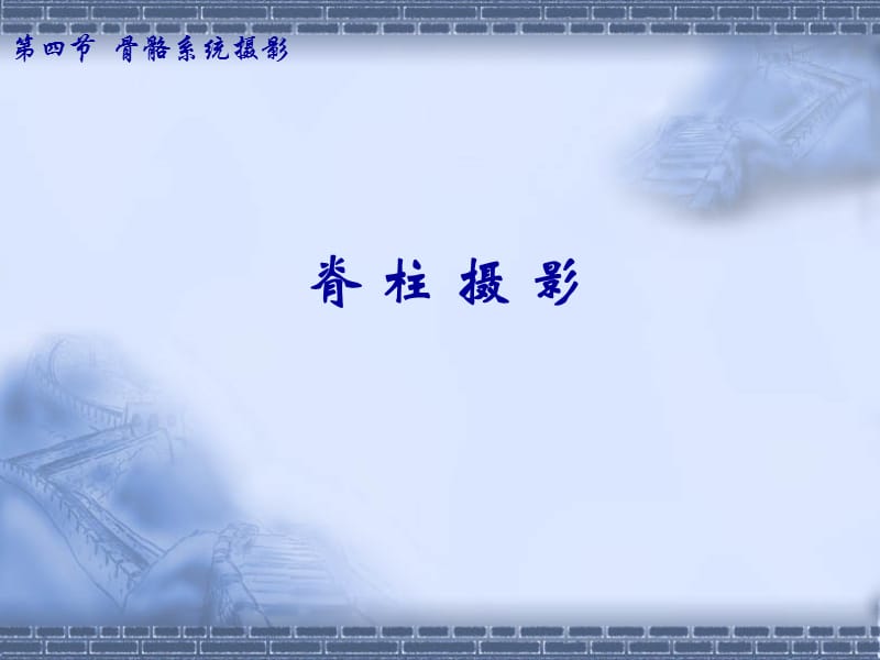 《脊柱》ppt课件.ppt_第1页