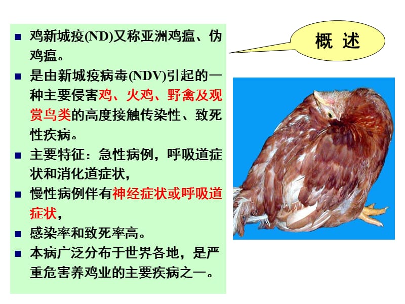 聊城大学农学院禽病学课件第三章病毒病（1）.ppt_第3页