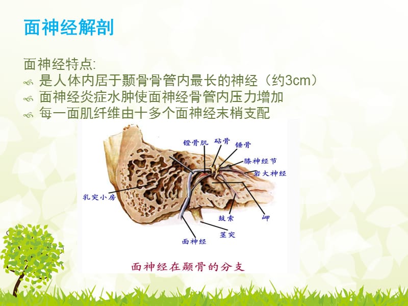 《面瘫》ppt课件.ppt_第3页