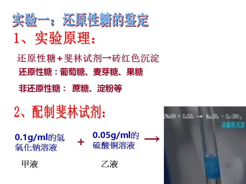 《还原糖实验》ppt课件.ppt_第2页