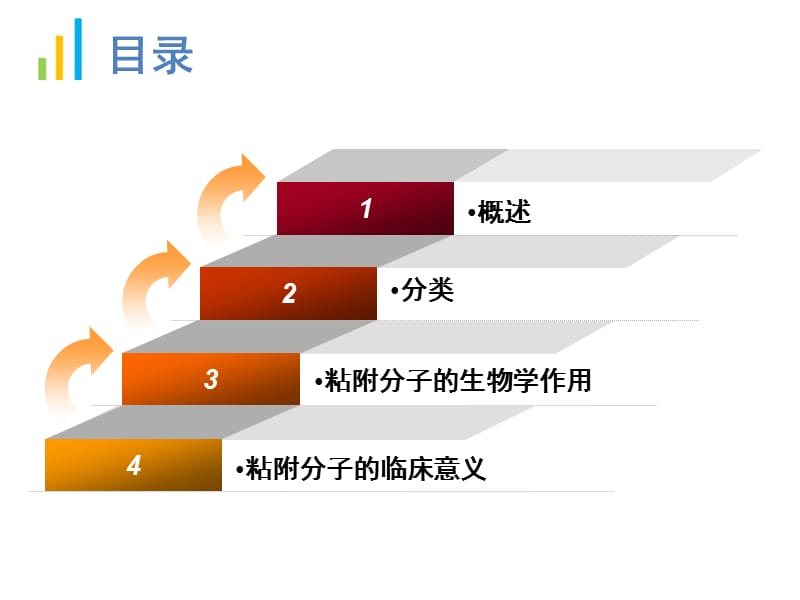 《细胞粘附分子》ppt课件.ppt_第2页